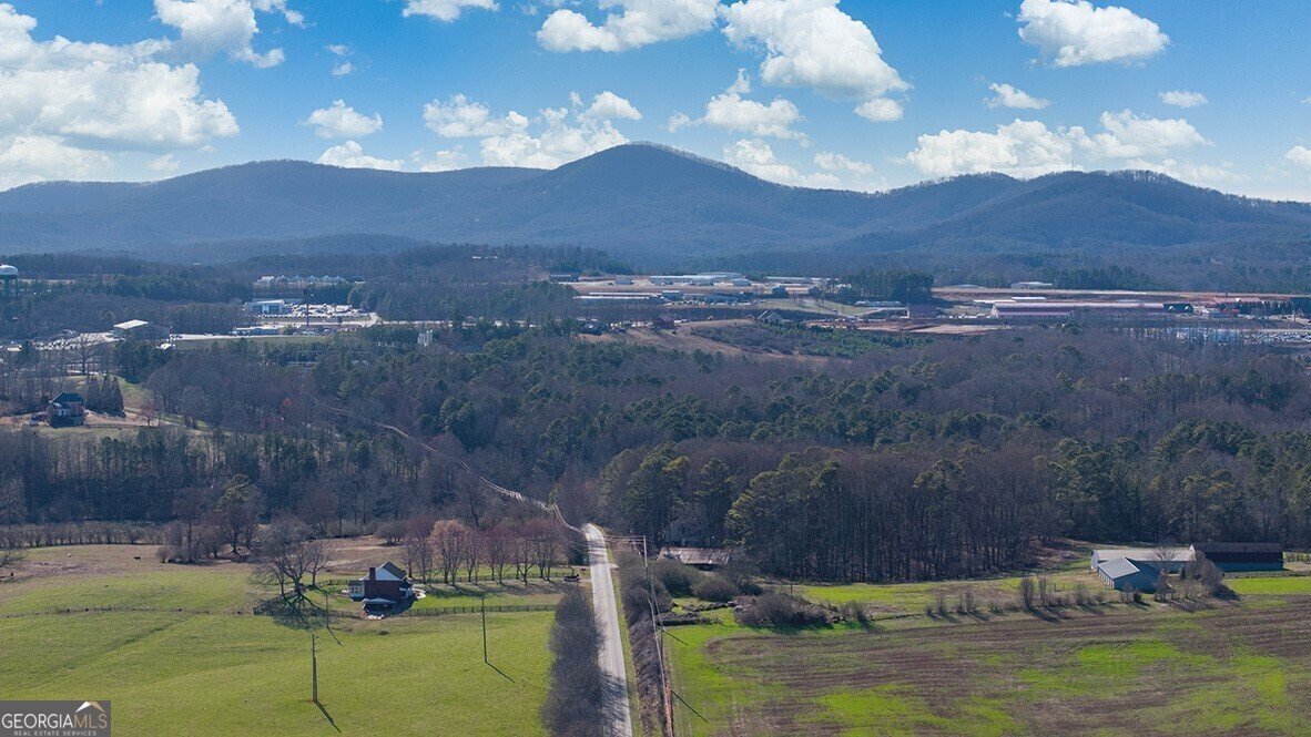203 Rolling Meadow Trace Jasper - Photo 30