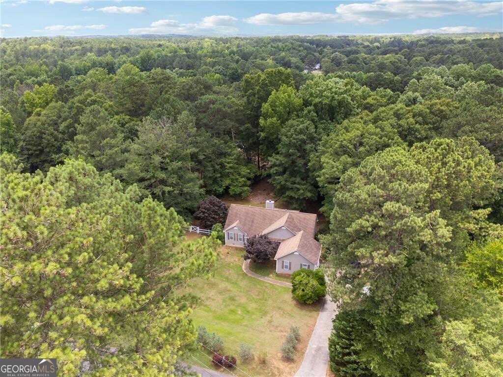 115 Laney Court Mcdonough - Photo 27