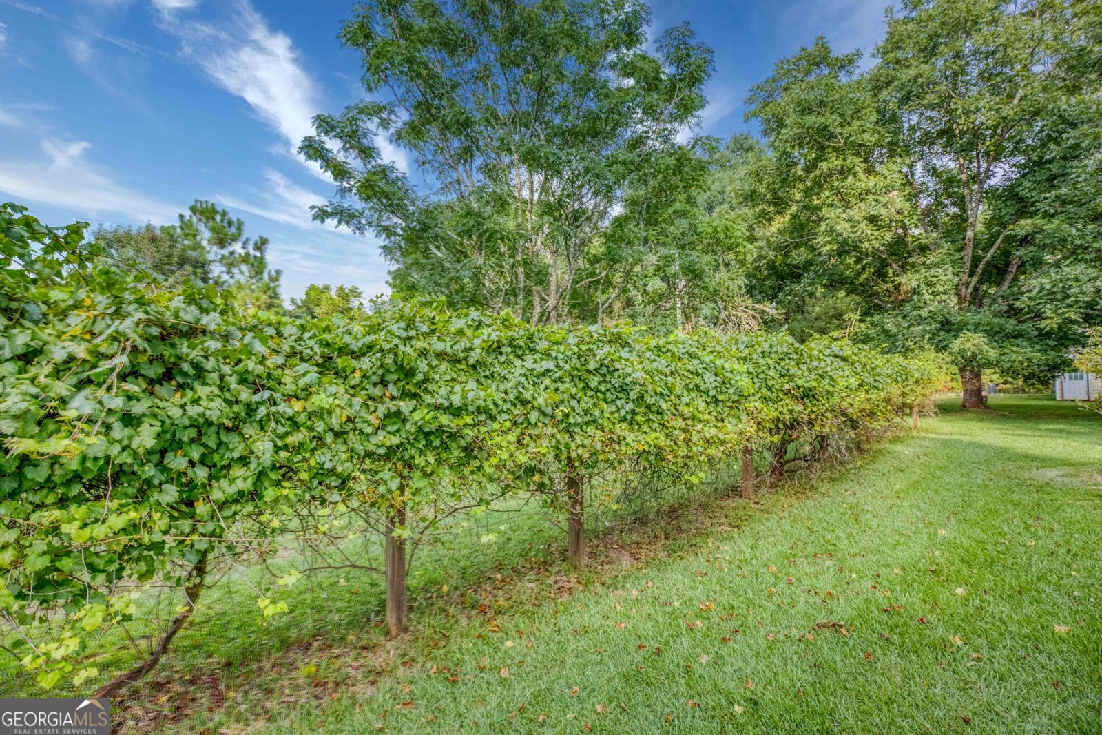 2067 Cleveland Road Bogart - Photo 22