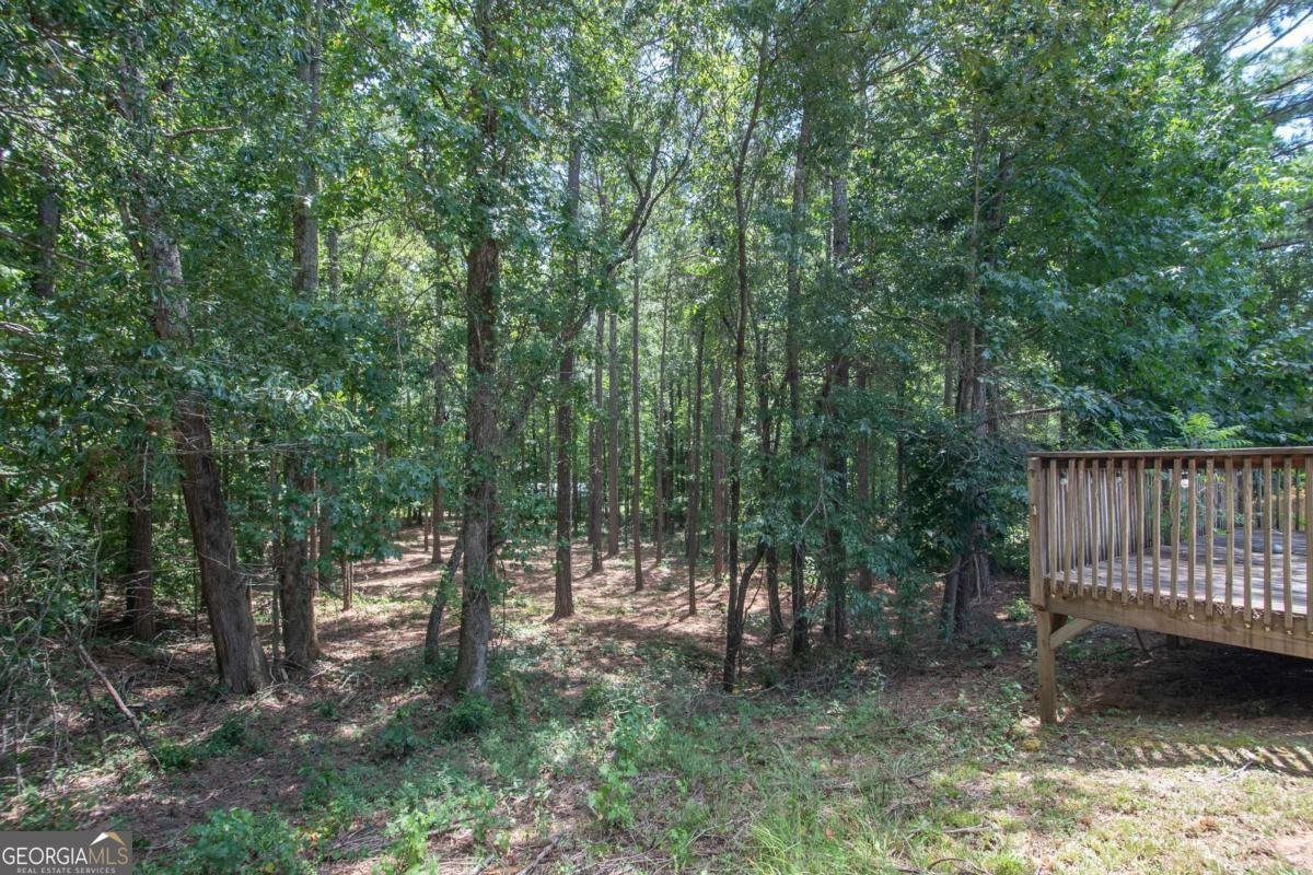 10 Walton Woods Court Newnan - Photo 30