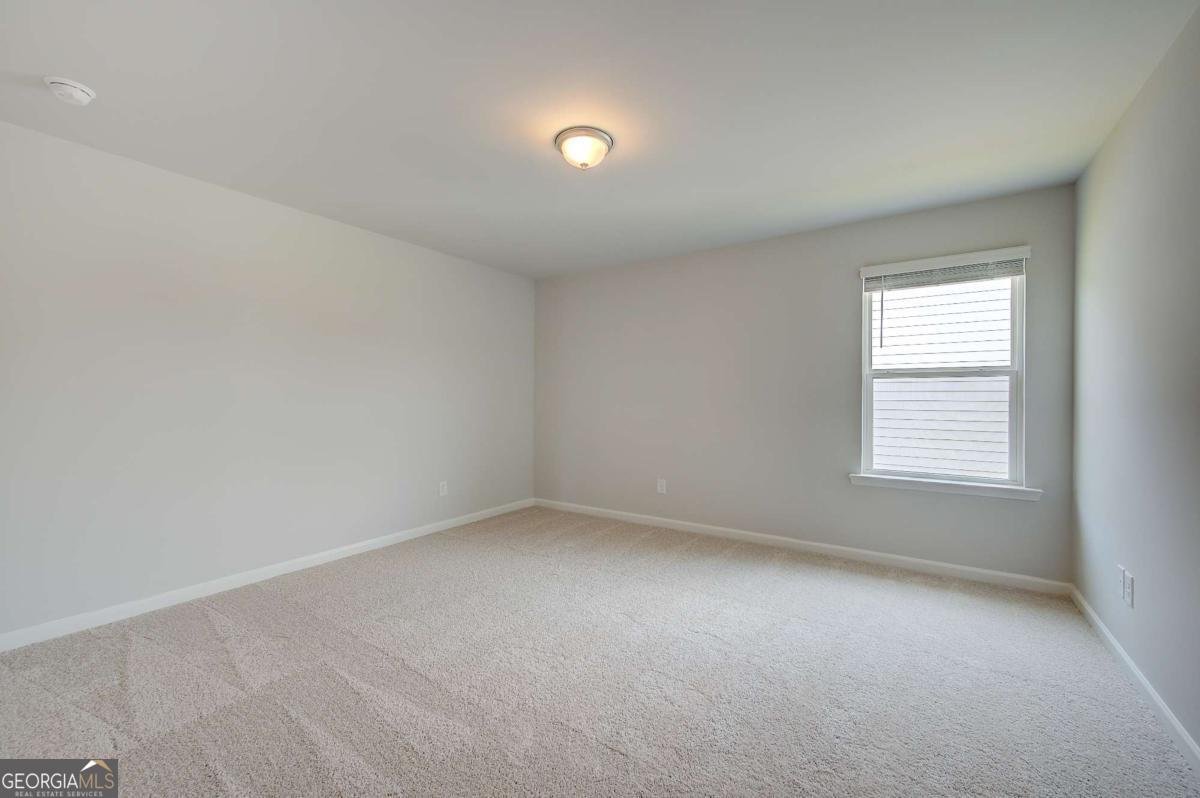 191 Dohrn Drive Loganville - Photo 19
