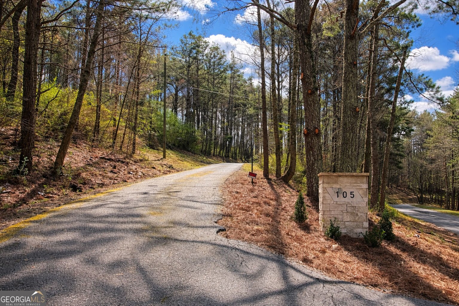 105 Riveredge Drive Ellijay - Photo 74