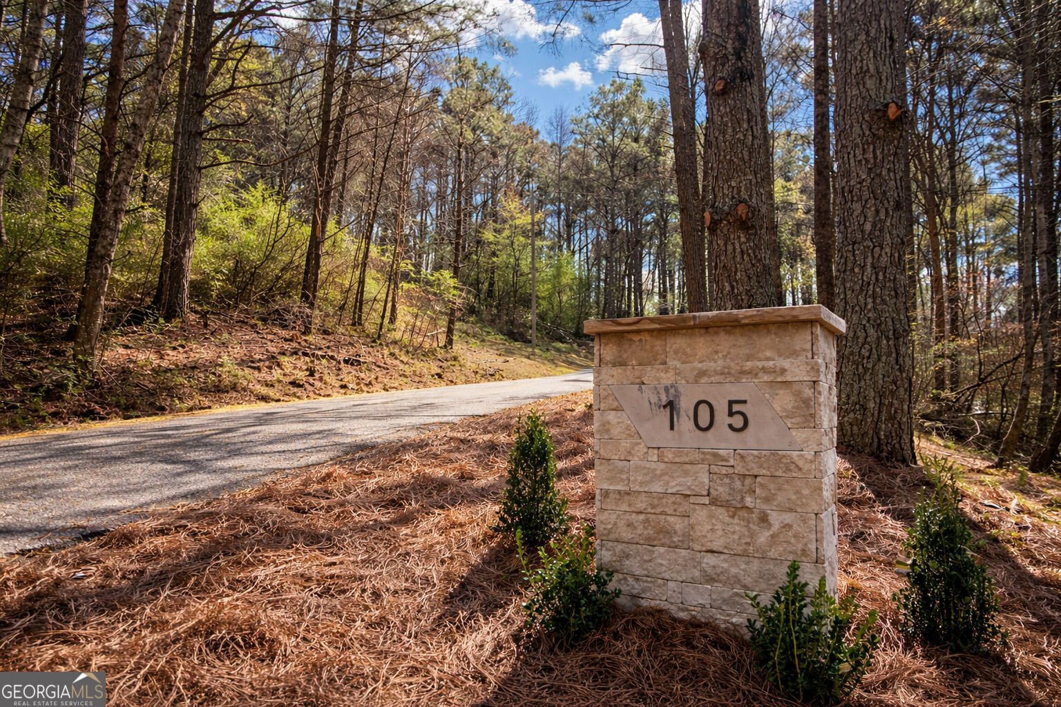 105 Riveredge Drive Ellijay - Photo 75