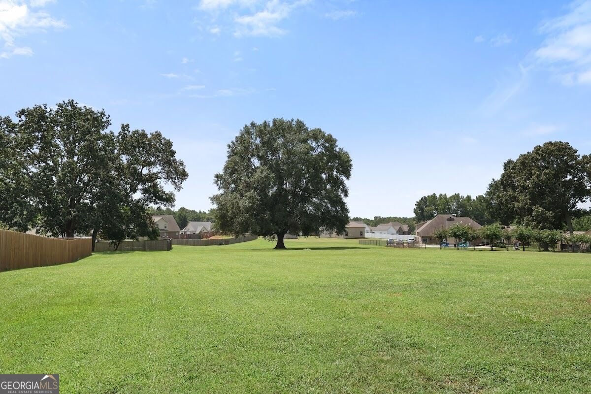 124 Magnolia Farms Drive Milner - Photo 39