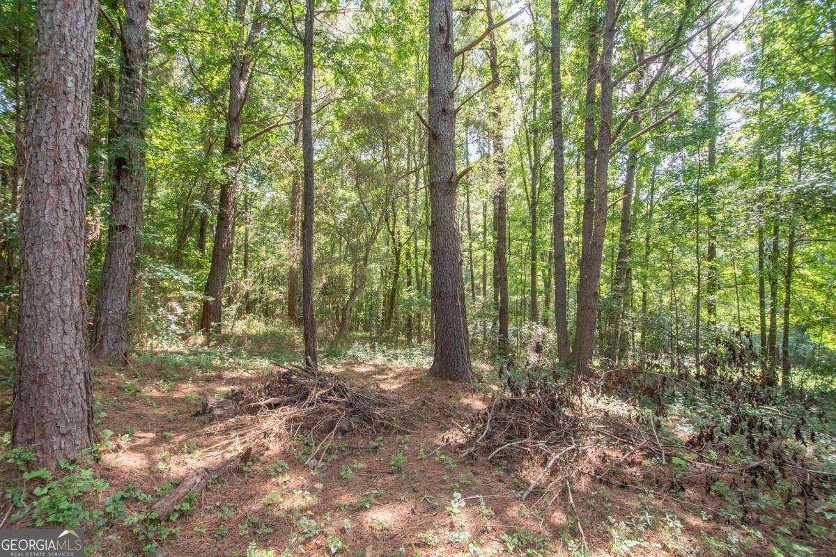 1104 Alverson Road Lagrange - Photo 25