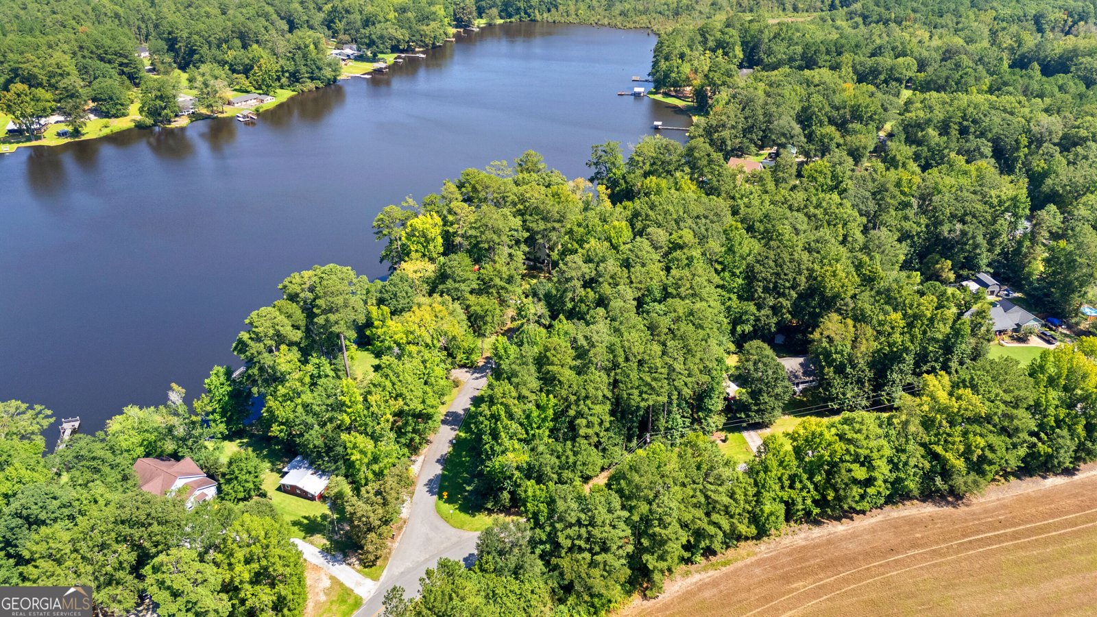 30 Peachtree Drive Sharpsburg - Photo 59