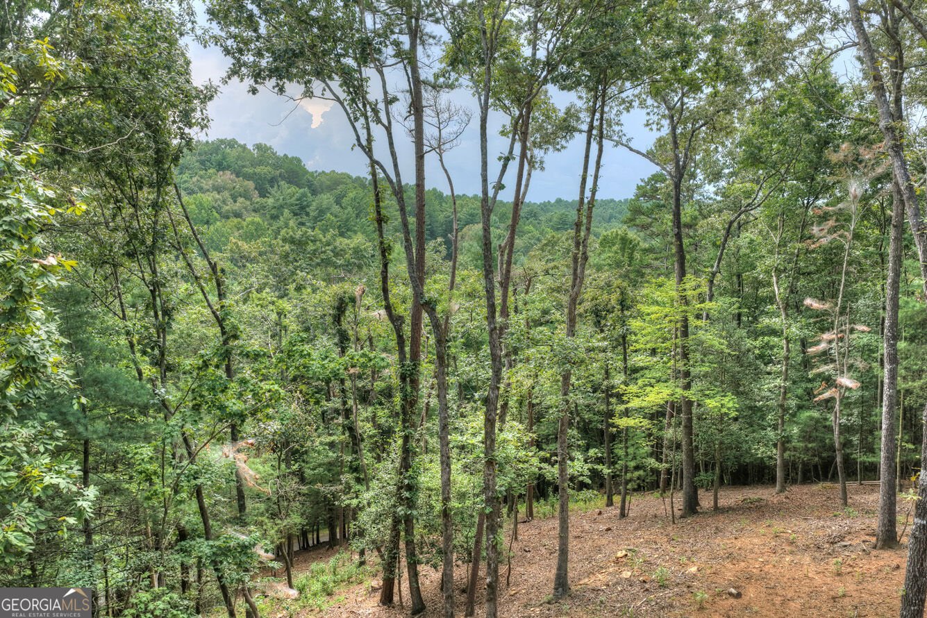 394 Blackberry Circle Ellijay - Photo 36