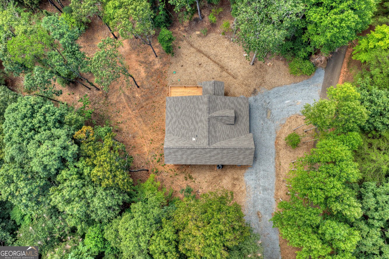 394 Blackberry Circle Ellijay - Photo 53