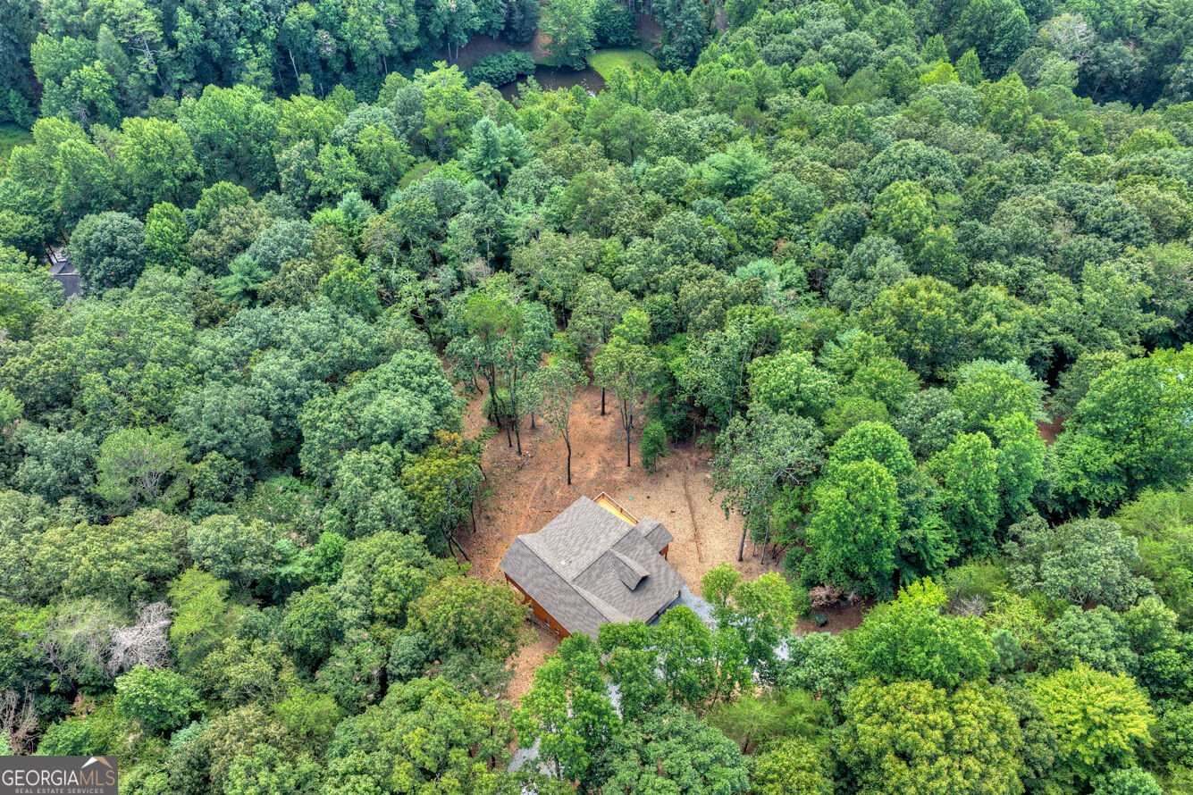 394 Blackberry Circle Ellijay - Photo 54
