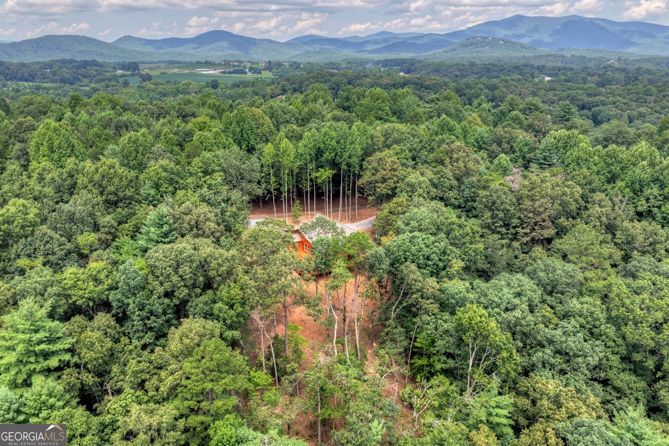 394 Blackberry Circle Ellijay - Photo 55