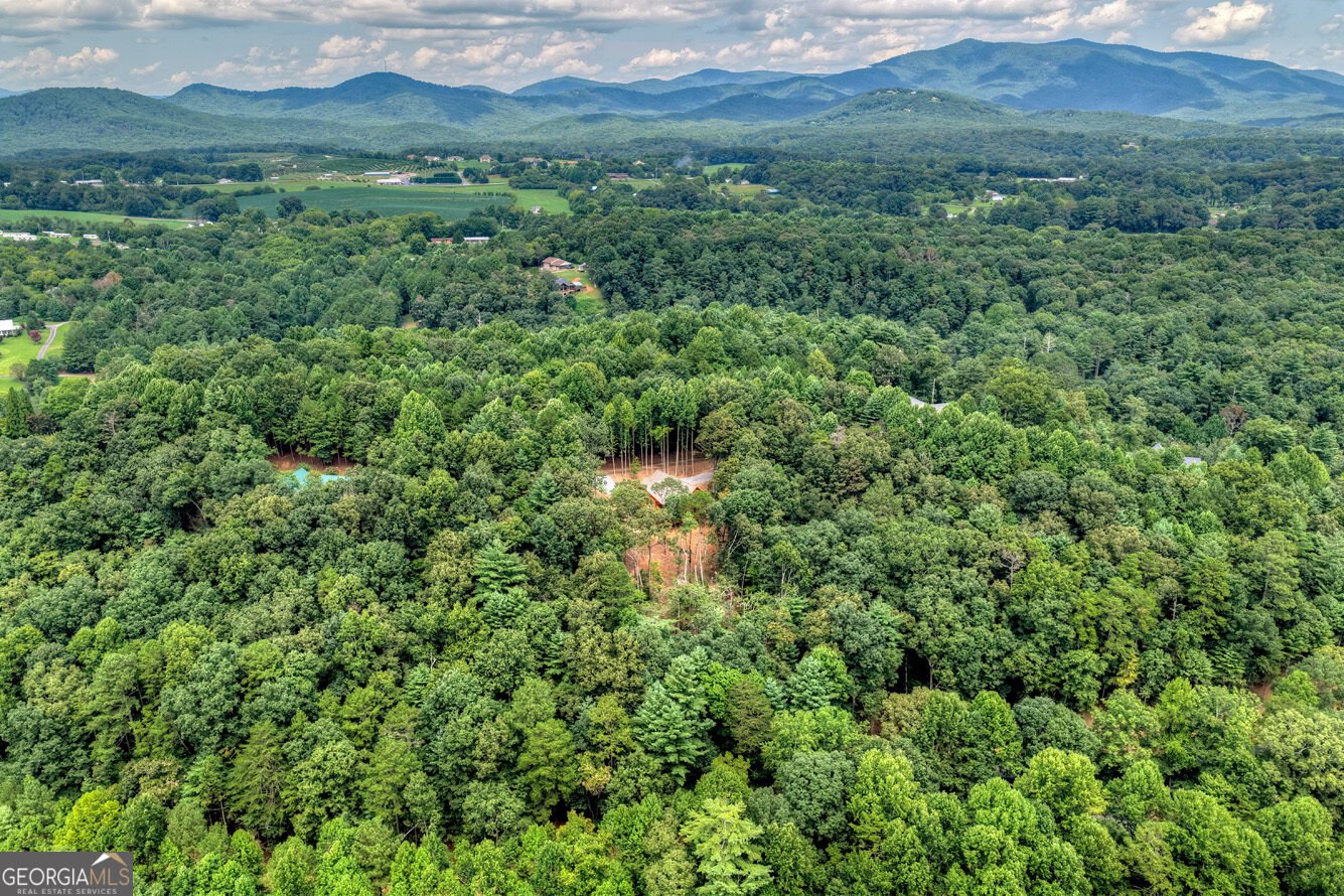 394 Blackberry Circle Ellijay - Photo 56