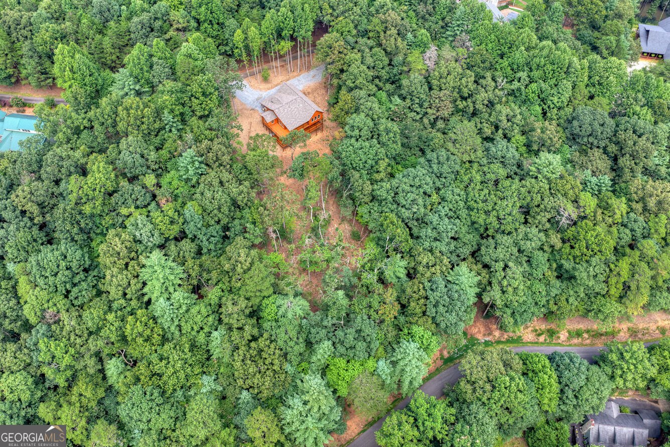 394 Blackberry Circle Ellijay - Photo 57