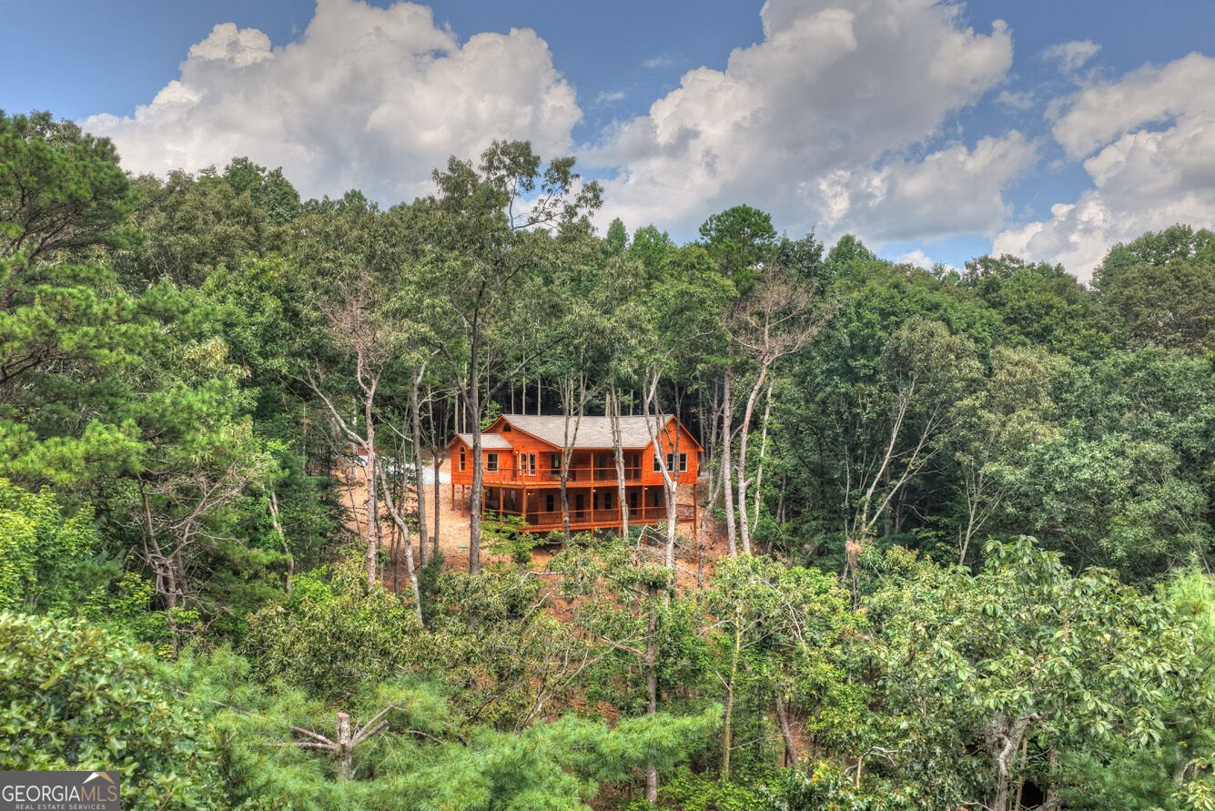 394 Blackberry Circle Ellijay - Photo 58