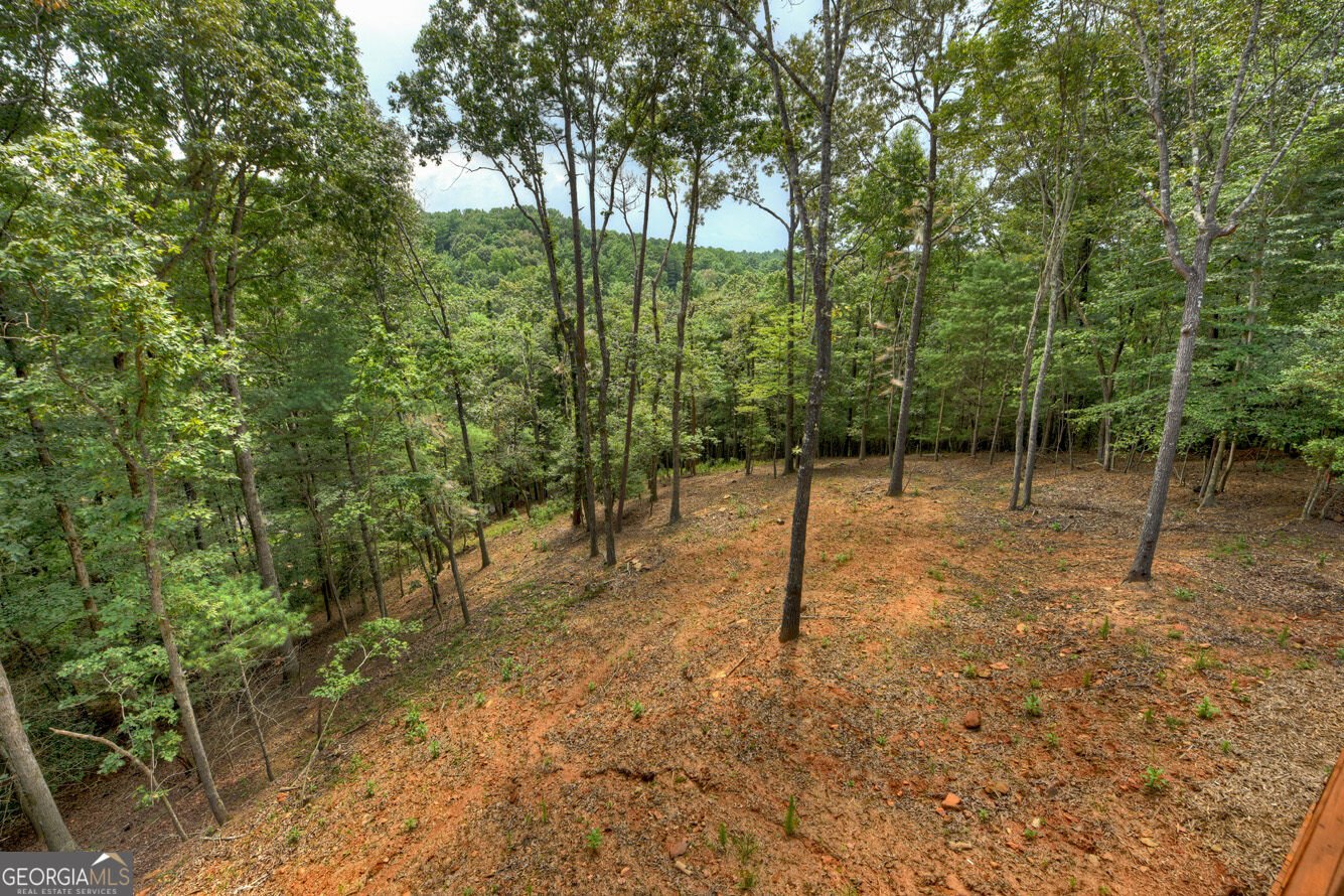 394 Blackberry Circle Ellijay - Photo 59