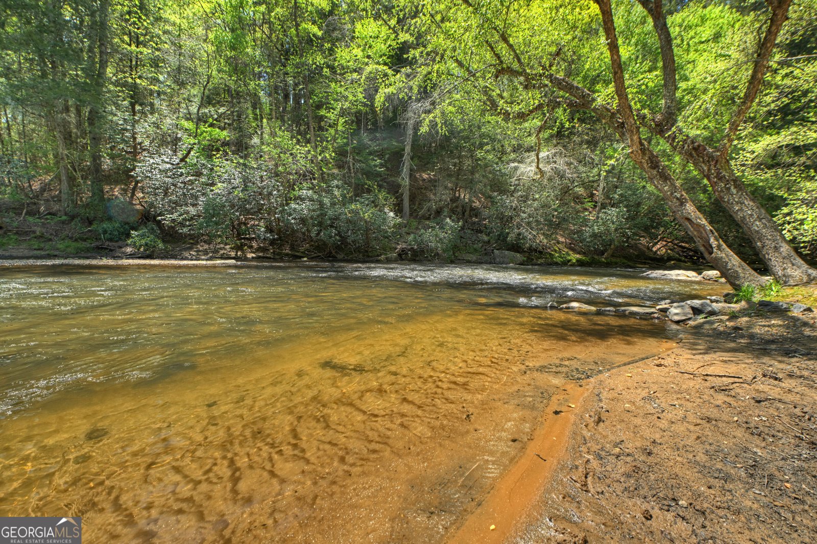 394 Blackberry Circle Ellijay - Photo 65