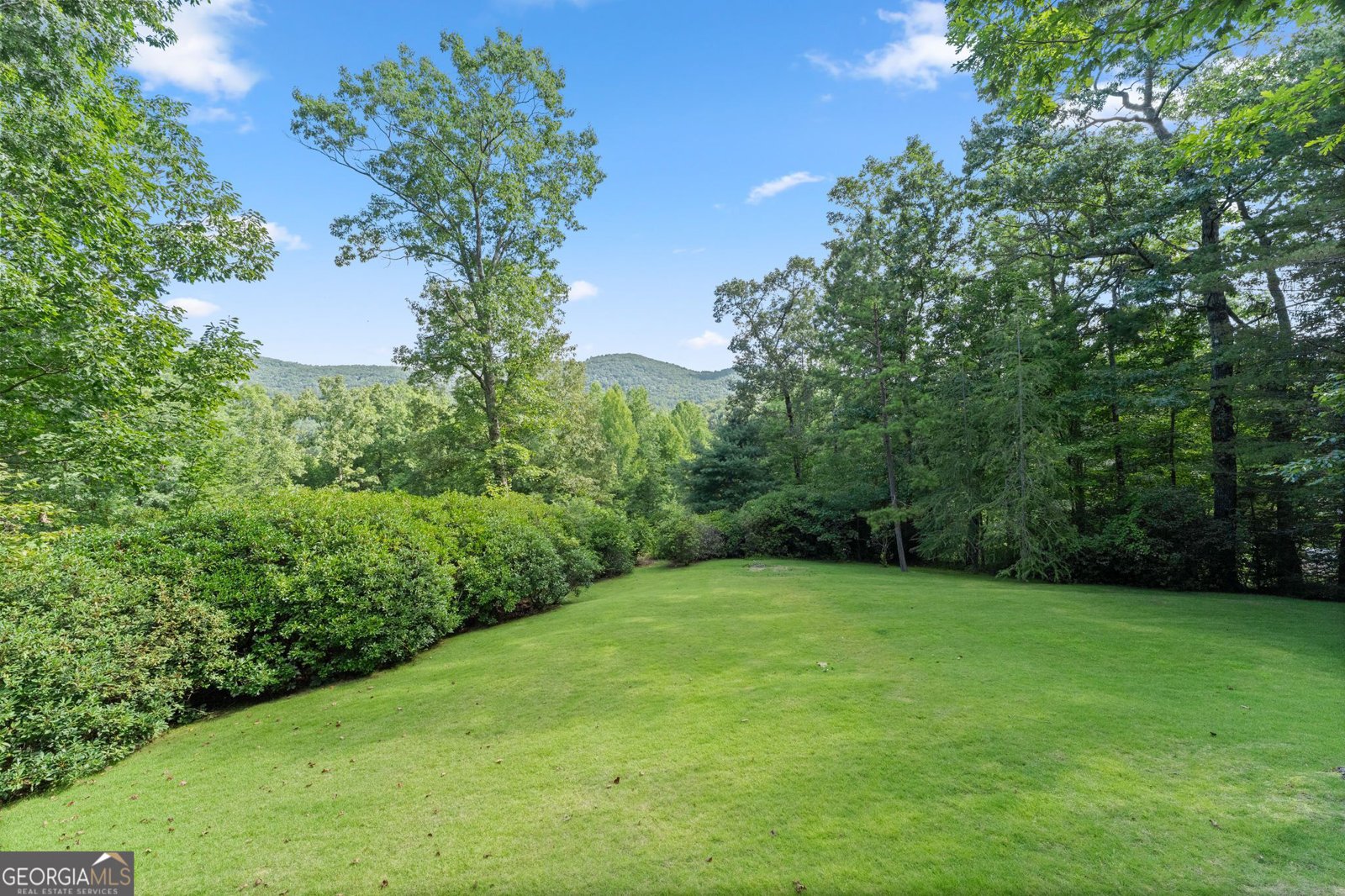 125 Crabapple Court Clarkesville - Photo 23