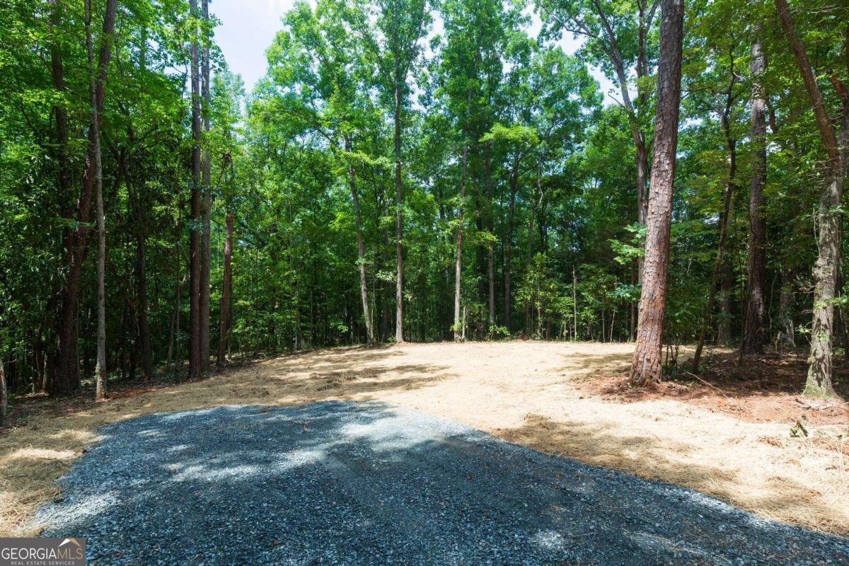 0 Roosevelt HWY - LOT 2 Warm Springs - Photo 6