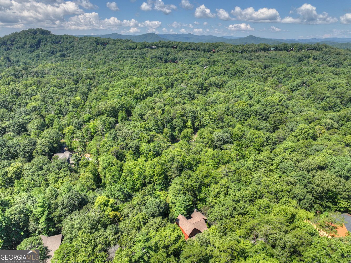 2975 Mountain Tops Road Blue Ridge - Photo 56