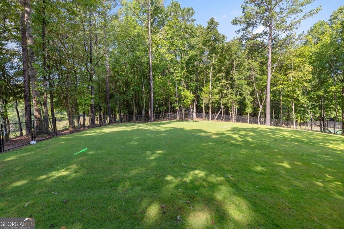 313 Troop Drive Fortson - Photo 105
