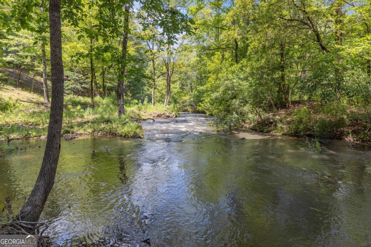 313 Troop Drive Fortson - Photo 106