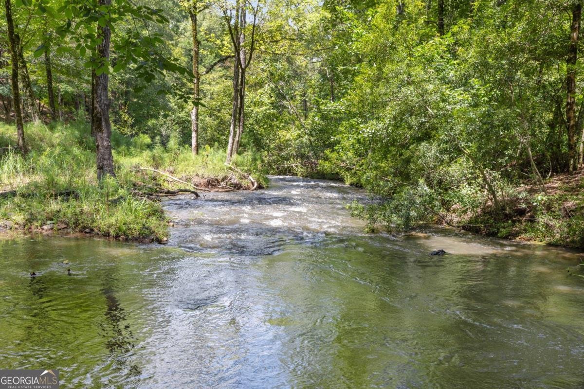 313 Troop Drive Fortson - Photo 107