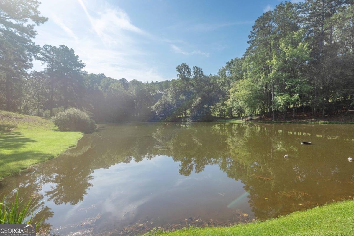 313 Troop Drive Fortson - Photo 109
