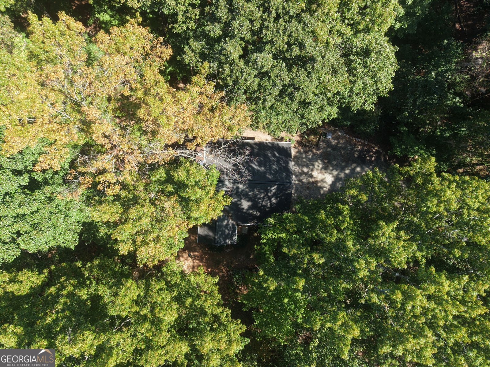 597 Sleepy Hollow Road Dahlonega - Photo 37