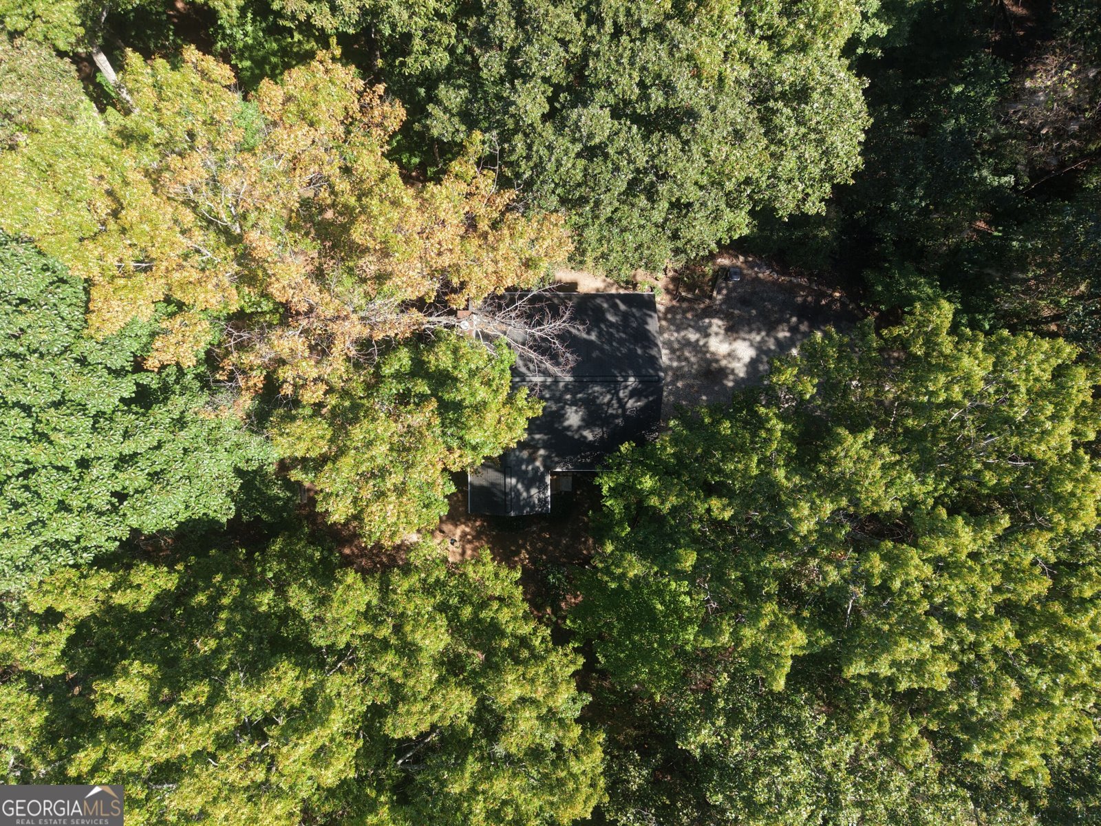 597 Sleepy Hollow Road Dahlonega - Photo 40