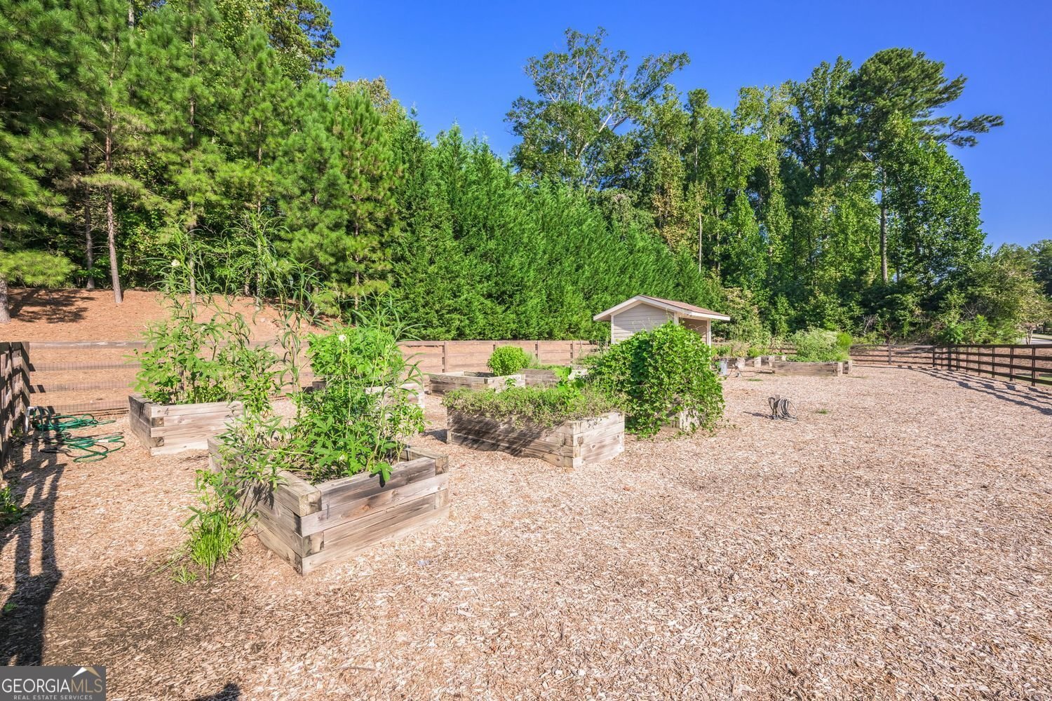 2790 Laurel Gate Lane Cumming - Photo 65