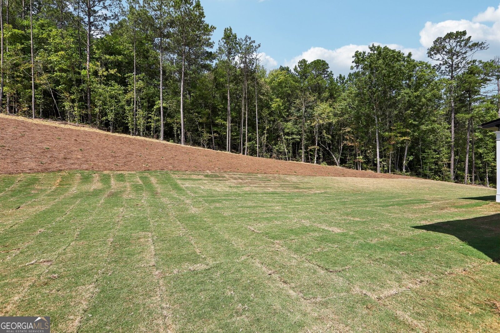 100 Eryn Terrace Covington - Photo 40
