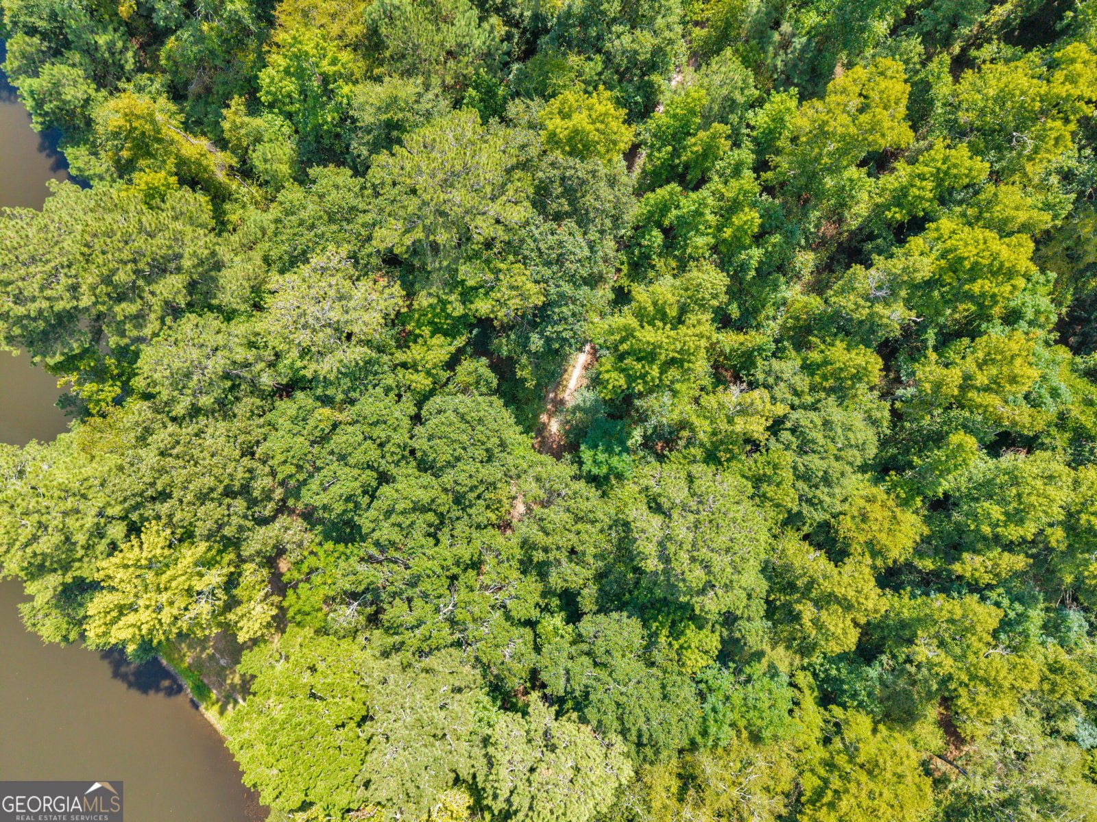 1631 Highway 15 Greensboro - Photo 39