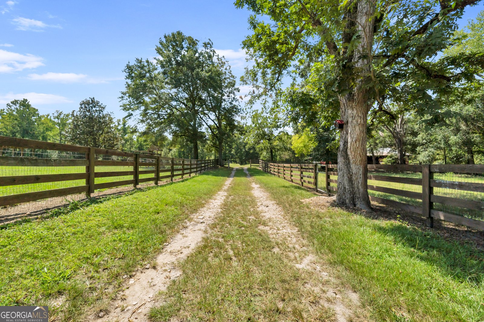 1631 Highway 15 Greensboro - Photo 41