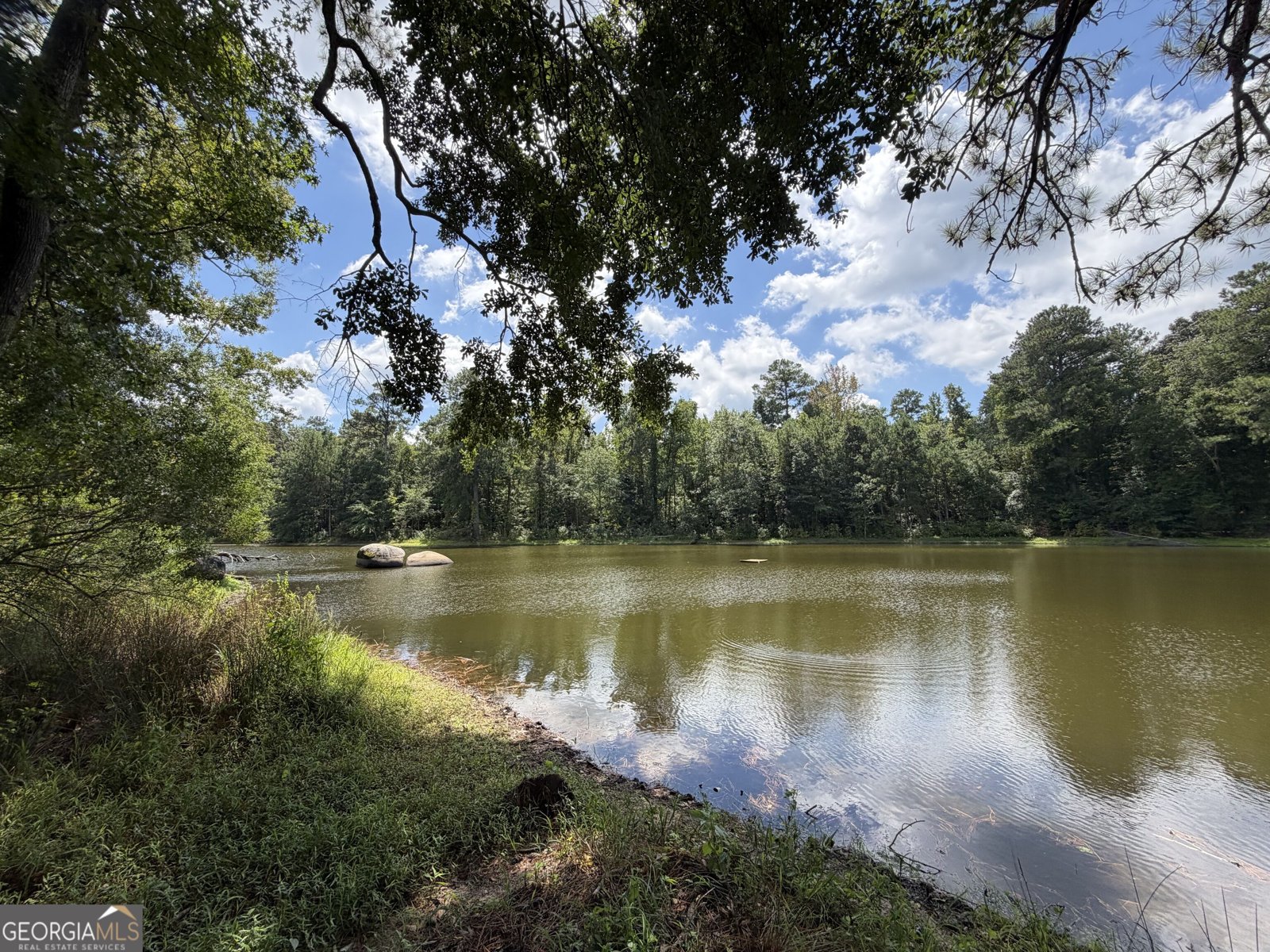 1631 Highway 15 Greensboro - Photo 45