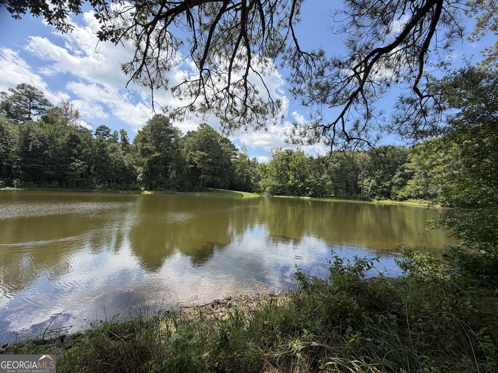1631 Highway 15 Greensboro - Photo 46