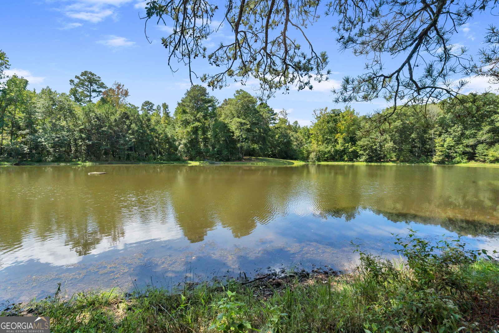 1631 Highway 15 Greensboro - Photo 47
