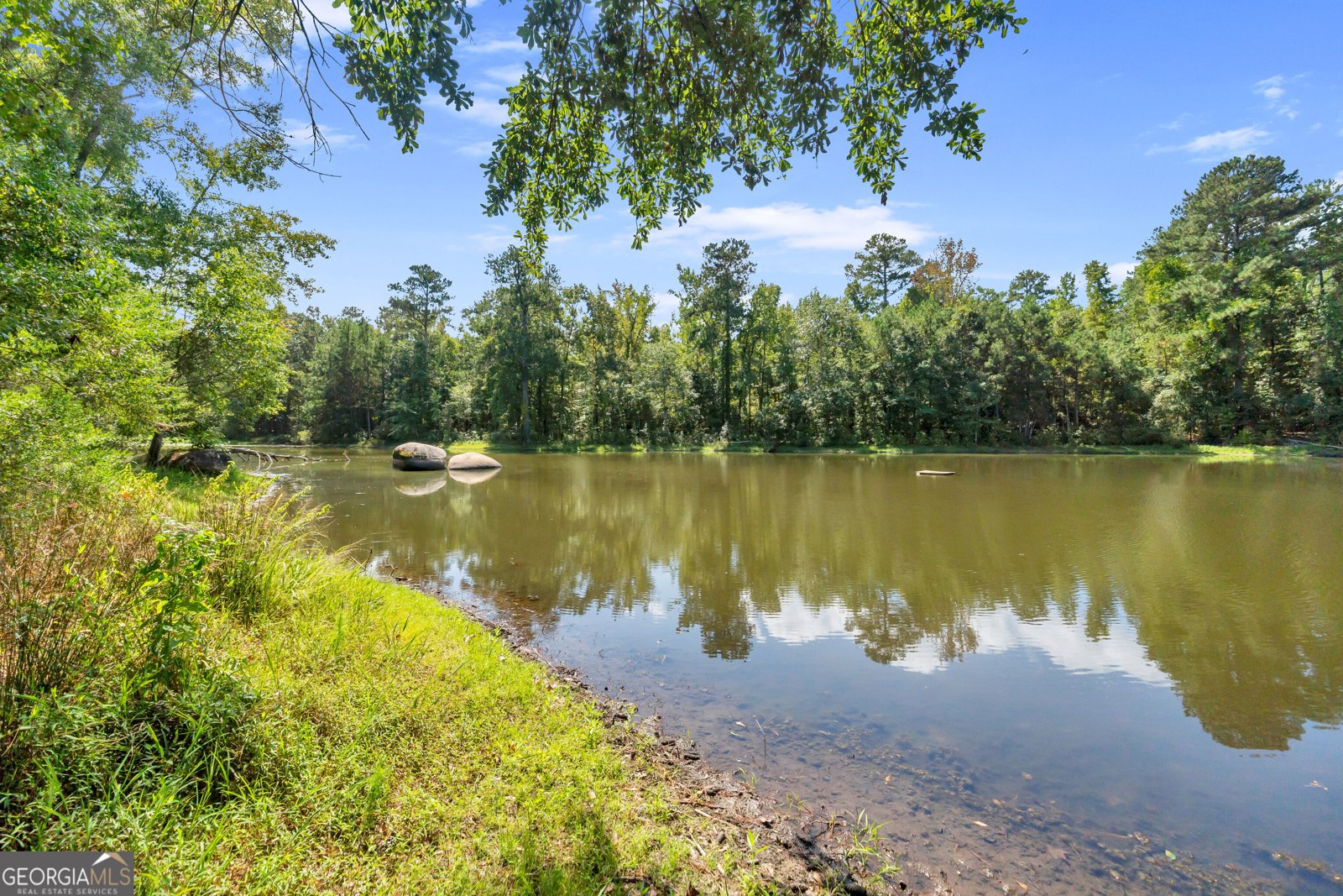 1631 Highway 15 Greensboro - Photo 48