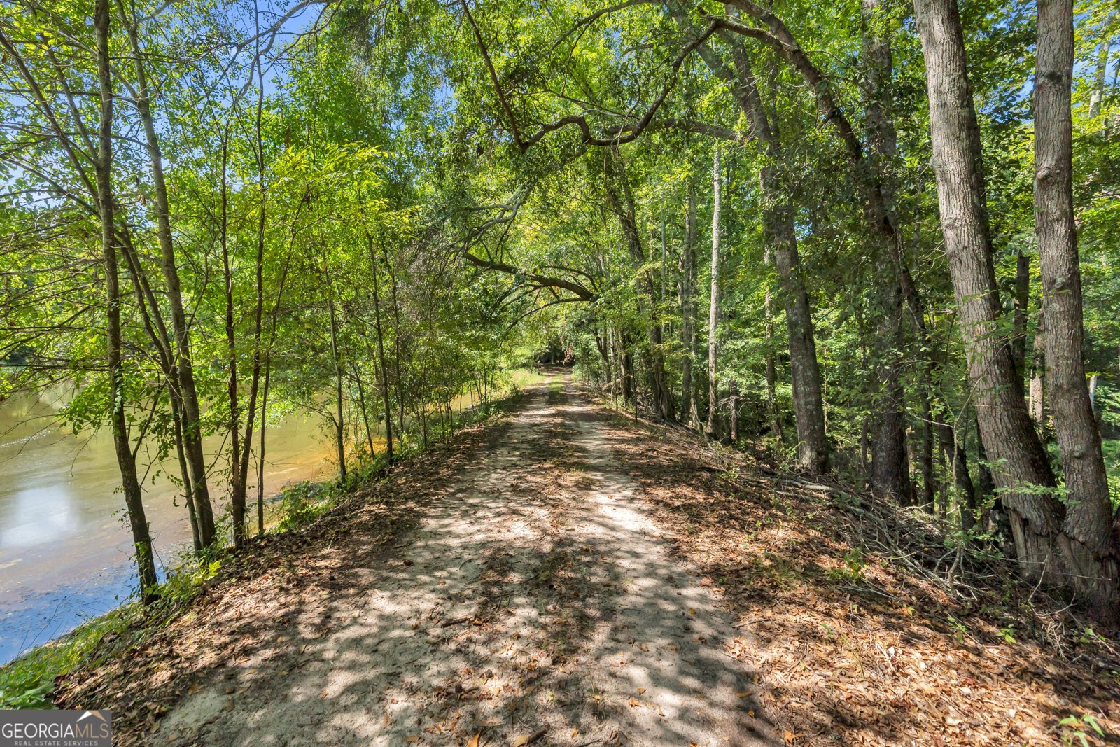 1631 Highway 15 Greensboro - Photo 50
