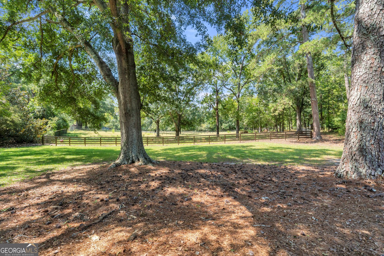 1631 Highway 15 Greensboro - Photo 57