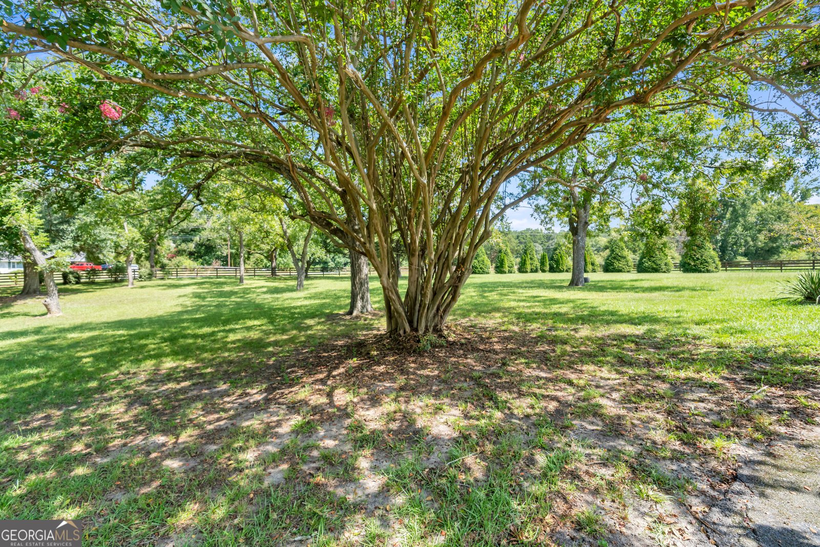 1631 Highway 15 Greensboro - Photo 58
