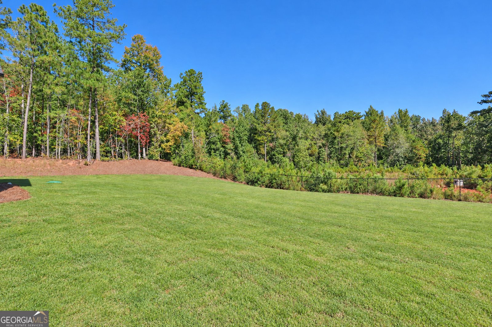 164 Piney Woods Drive Newnan - Photo 32