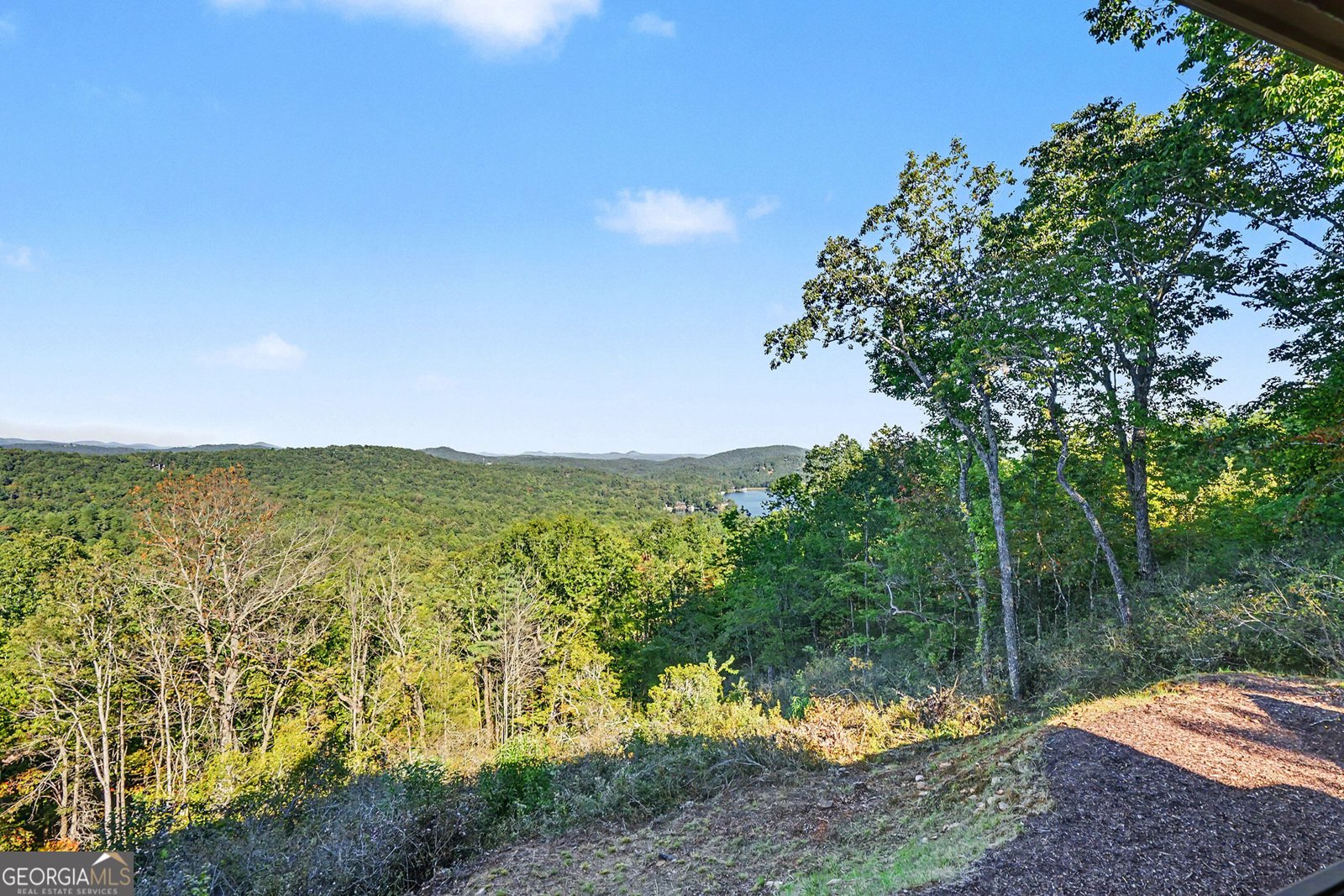 1095 Rabun Bluffs Drive Lakemont - Photo 103