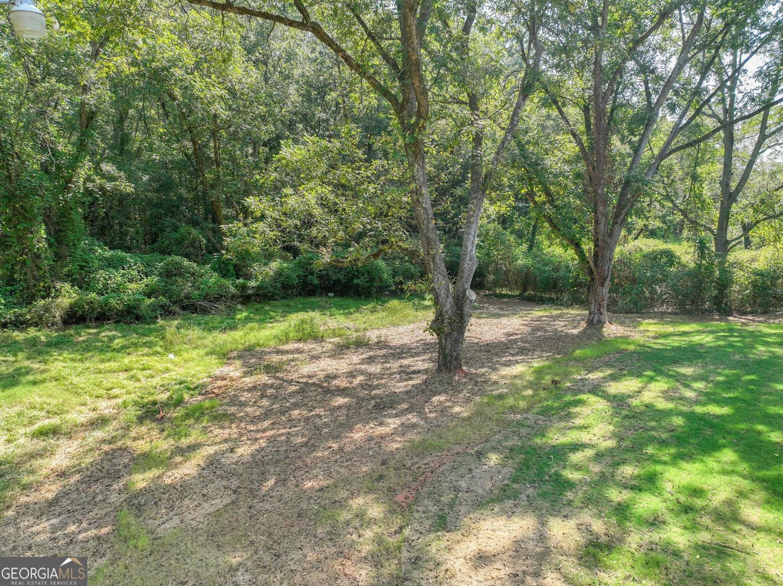 106 Little Street Williamson - Photo 36