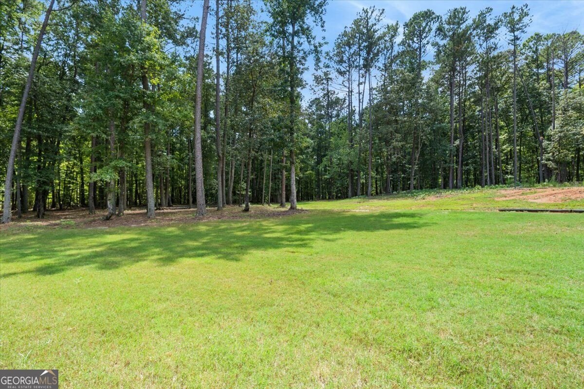 490 Gregory Road Covington - Photo 61