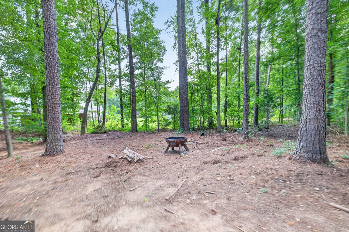 1041 Matthews Way McDonough - Photo 63