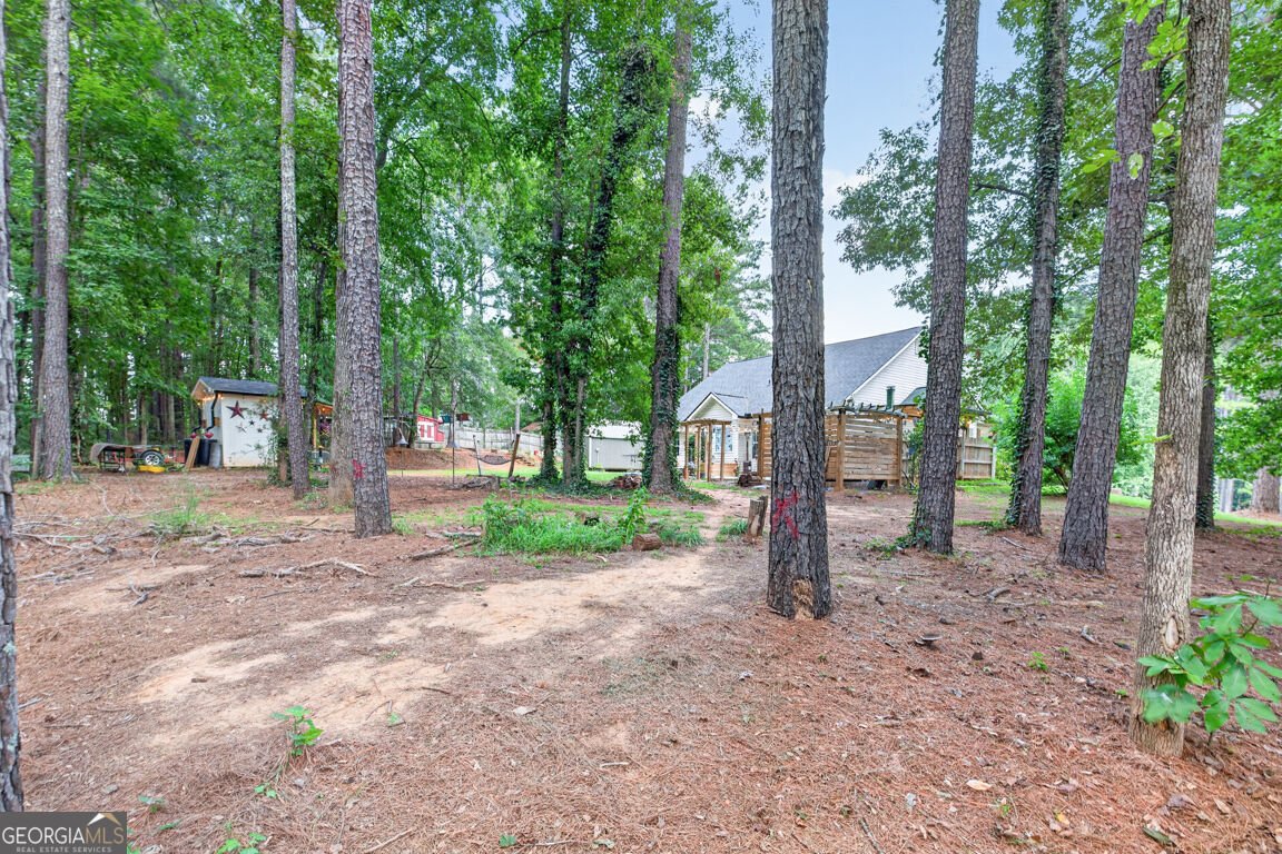 1041 Matthews Way McDonough - Photo 64