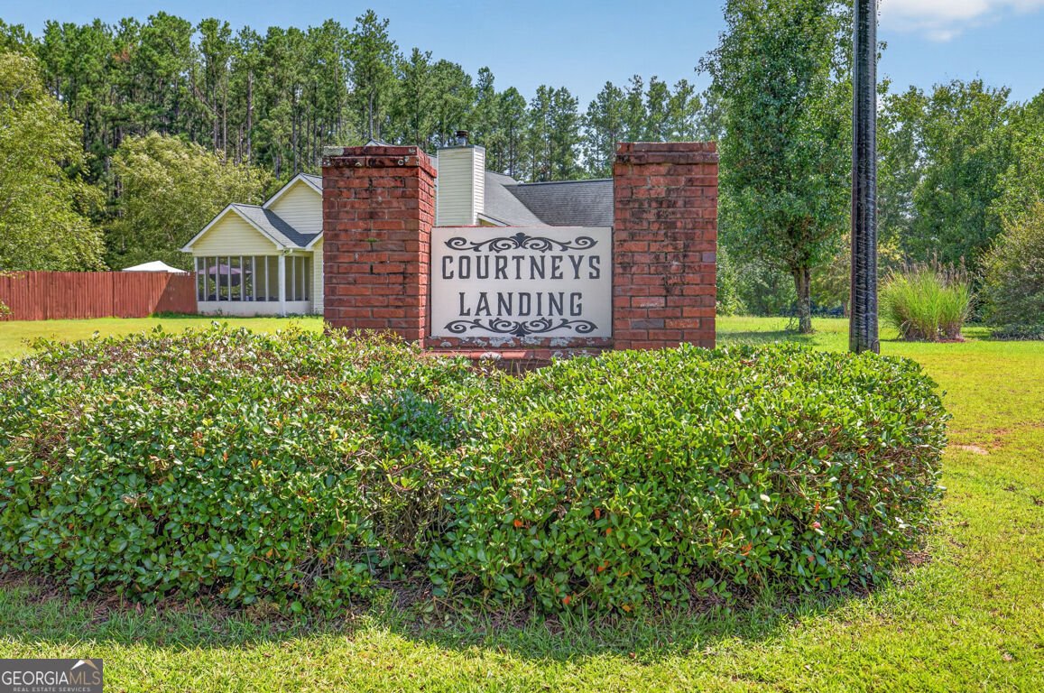 1041 Matthews Way McDonough - Photo 75