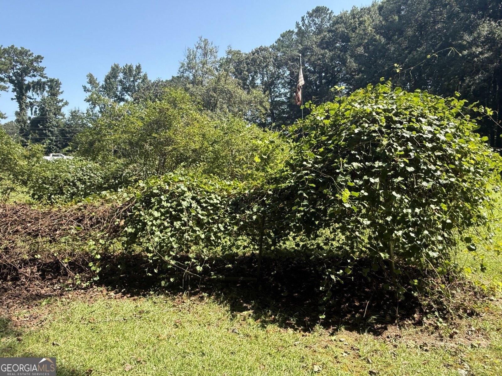 3100 Old Jonesboro Road Fairburn - Photo 12