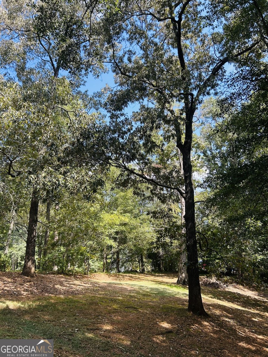 1080 Skipstone Drive Watkinsville - Photo 48
