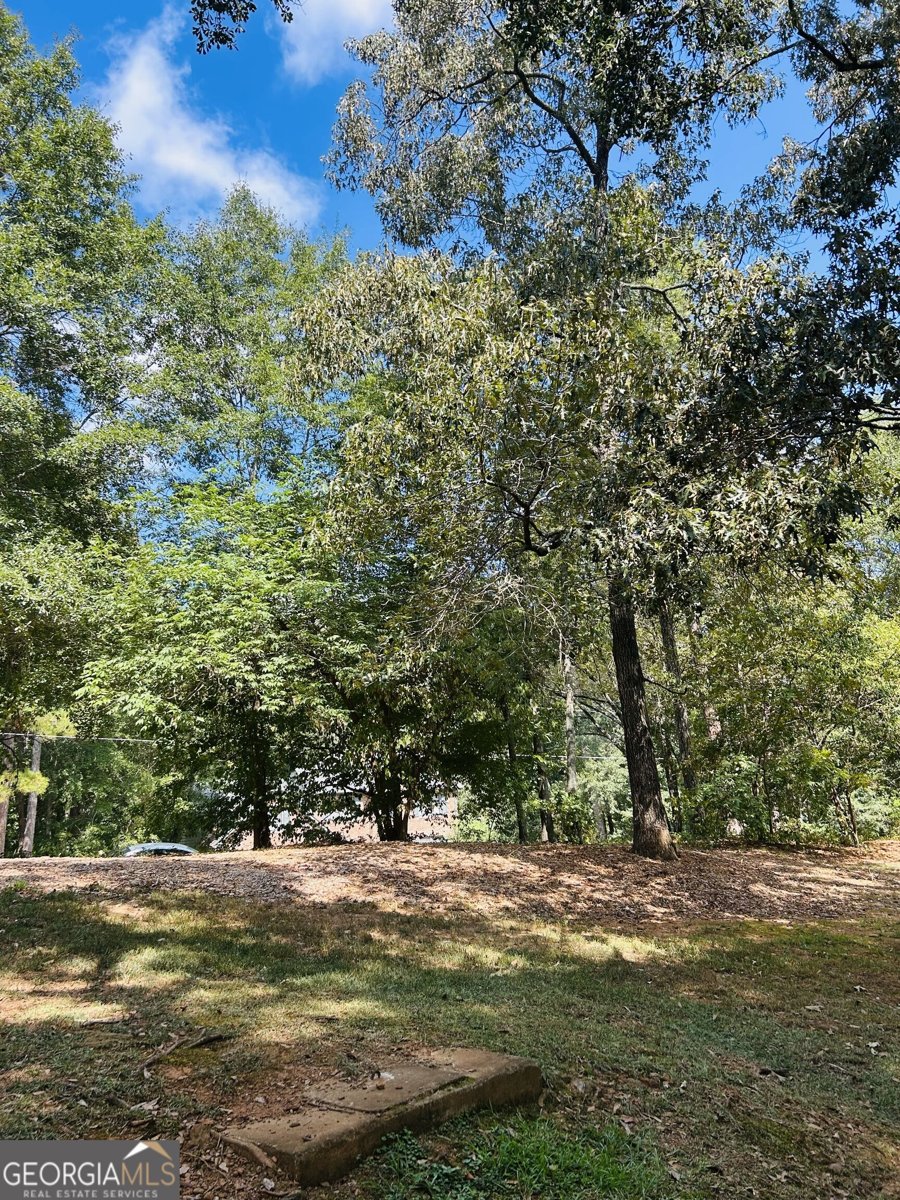 1080 Skipstone Drive Watkinsville - Photo 49