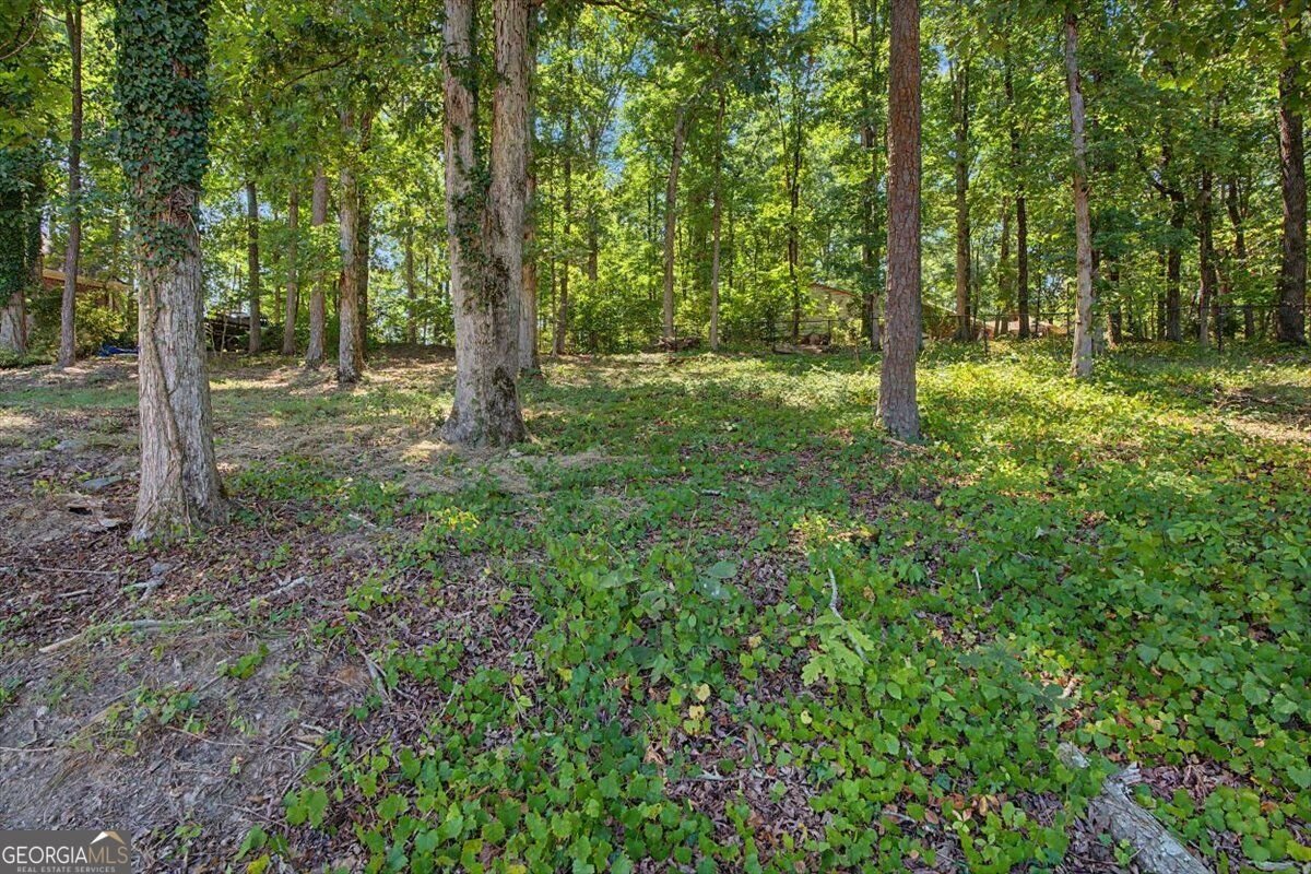 4069 Anthony Creek Drive Loganville - Photo 33